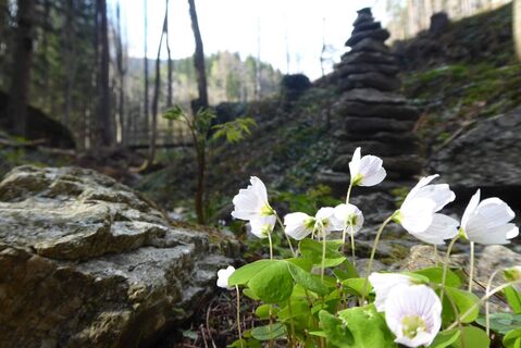 Quellenwege St. Radegund