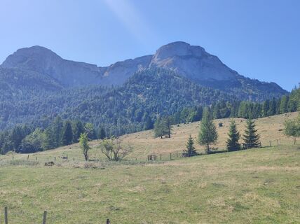 Foto von Tgerlinde entlang der Tour
