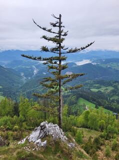 Foto von Reinhard Pomper entlang der Tour