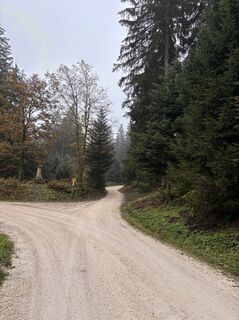 Foto von Heinz Sperl entlang der Tour
