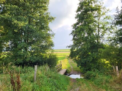 Eine kleine Brücke über den Gelängebach