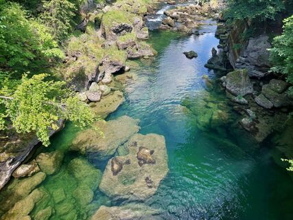 Foto de sibela a lo largo del recorrido