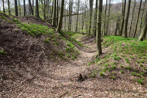 RI 5 Drei-Burgen-Route Osterburg Wallgraben