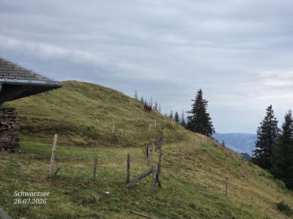 Fotografija s spletne strani Massimo Romano 2 na poti