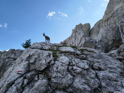 Fotografija s spletne strani Maria Moro na poti