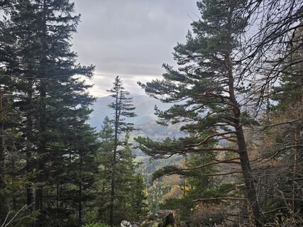 Photo from Matheo Kraule along the tour