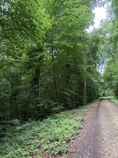 Foto von Nicole Versporten entlang der Tour