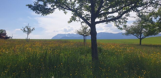 Foto von Hans-Rudolf Held entlang der Tour
