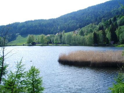 Gellsee
