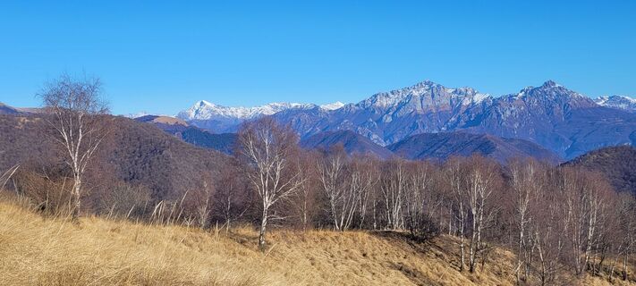 Fotografija s spletne strani Ros 1 na poti
