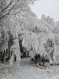 Zdjęcie z Géza Kováts wzdłuż trasy