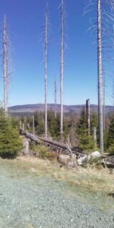 Blick zum Brocken