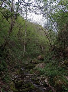 Foto de Aner a lo largo del recorrido