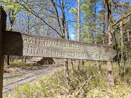 Foto von nordbergschnecke entlang der Tour