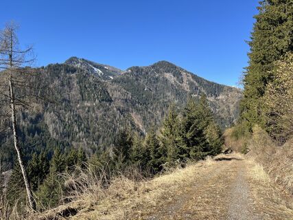 Photo de Anton Gigele le long du parcours