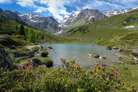 Fundussee