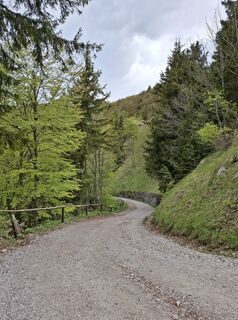 Foto von Miha Gros entlang der Tour