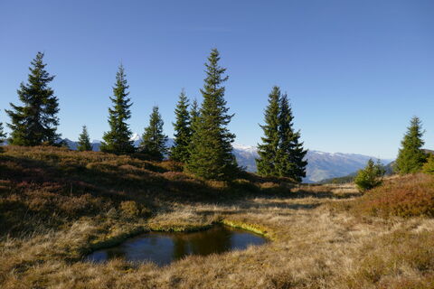 kurz vor dem Lammstein