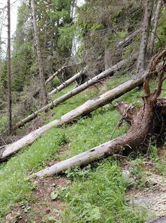 Photo de Wolfgang Wigand le long du parcours