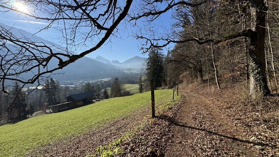 Foto von peter_oe entlang der Tour