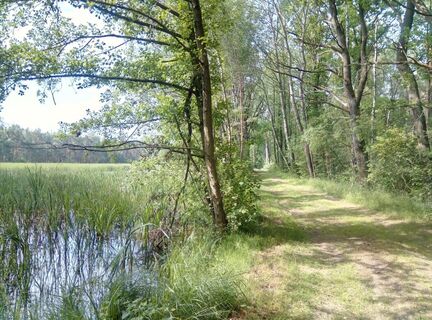 Naturlehrpfad Caßlauer Wiesenteiche