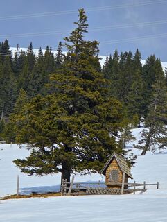 Photo de MRDL le long du parcours