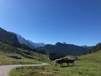 Hundsalm