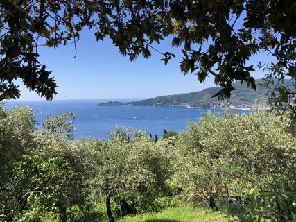 Photo de “Jerry” Brunetti le long du parcours