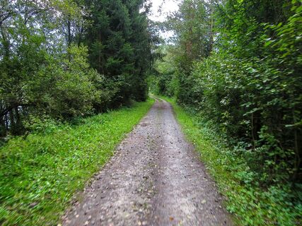 "Drau-Ebene" Spaziergang