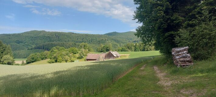 Fotografia z Klaus Gruber 3 na trase