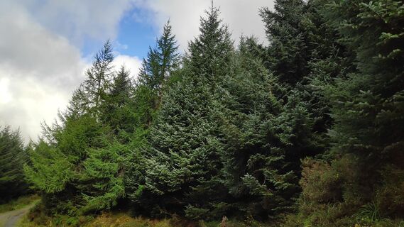 Foto de Ub a lo largo del recorrido