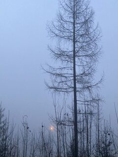 Foto de Moonytiger a lo largo del recorrido