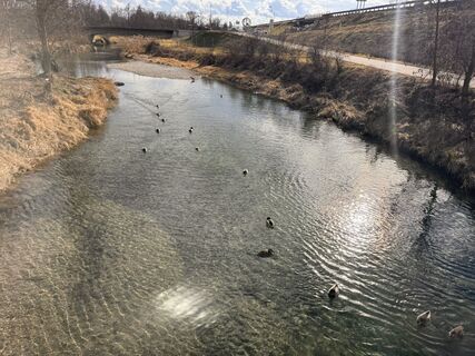 Fotografija s spletne strani Gerhard Piglmann na poti