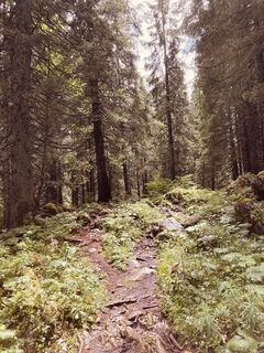 Foto från Robert Gerard under resans gång