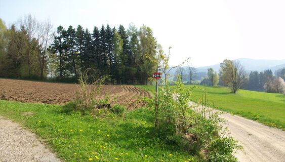Steinbachweg