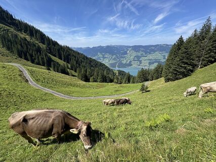 Fotografia z Christina Zurbrügg na trase