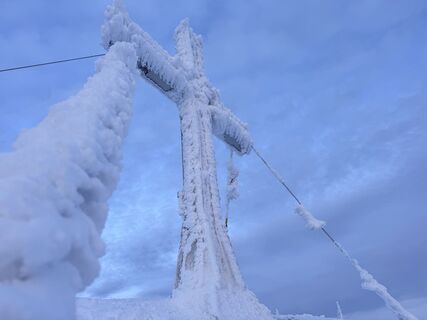 Fotografija s spletne strani Natur_erleben_dg na poti
