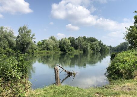 Fotografija s spletne strani “Jerry” Brunetti na poti
