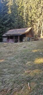 Foto van Ingrid H langs de tour