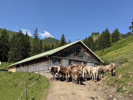 Fotografie z Robert Dolp na trase