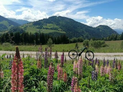 Wildschönau MTB Möslalm