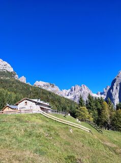 Фото с сайта corrado во время экскурсии