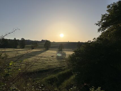 Fotografija s spletne strani Schaali na poti