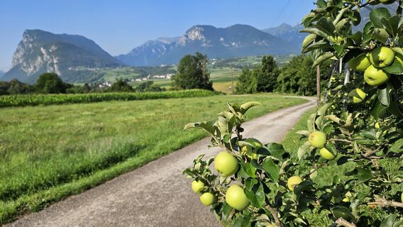 Photo de Cors van Dorp le long du parcours