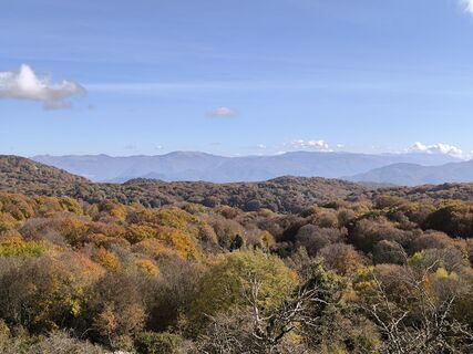 Foto de Gerry Girardi a lo largo del recorrido