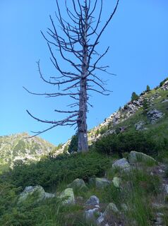 Foto von Sas István entlang der Tour