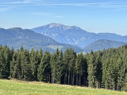 Foto da Georgiamartin0815 lungo il tour