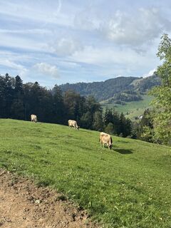Foto von Jill entlang der Tour