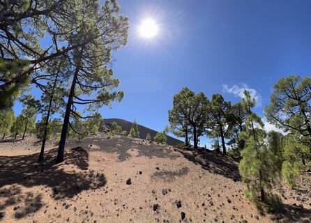 Photo de Volki F. le long du parcours