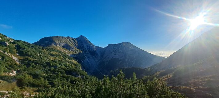 Fotografija s spletne strani Ales Grmsek na poti